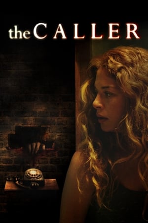 The Caller 2011 Dual Audio | Dubbed Hindi Movie BluRay 300MB
